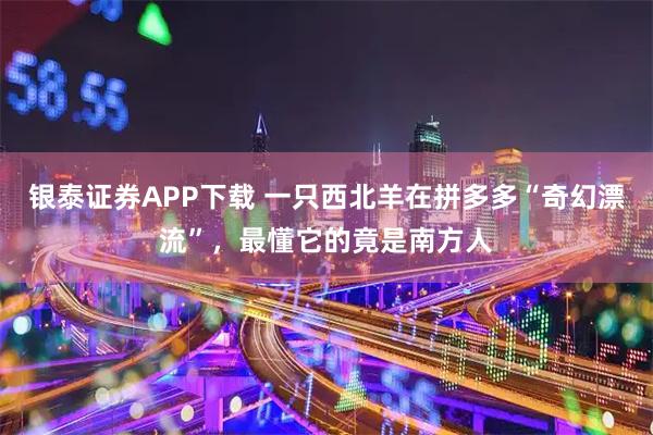 银泰证券APP下载 一只西北羊在拼多多“奇幻漂流”，最懂它的竟是南方人