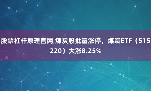 股票杠杆原理官网 煤炭股批量涨停，煤炭ETF（515220）大涨8.25%