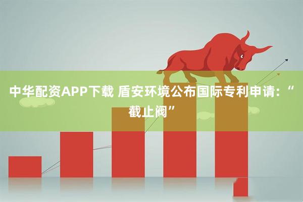 中华配资APP下载 盾安环境公布国际专利申请: “截止阀”